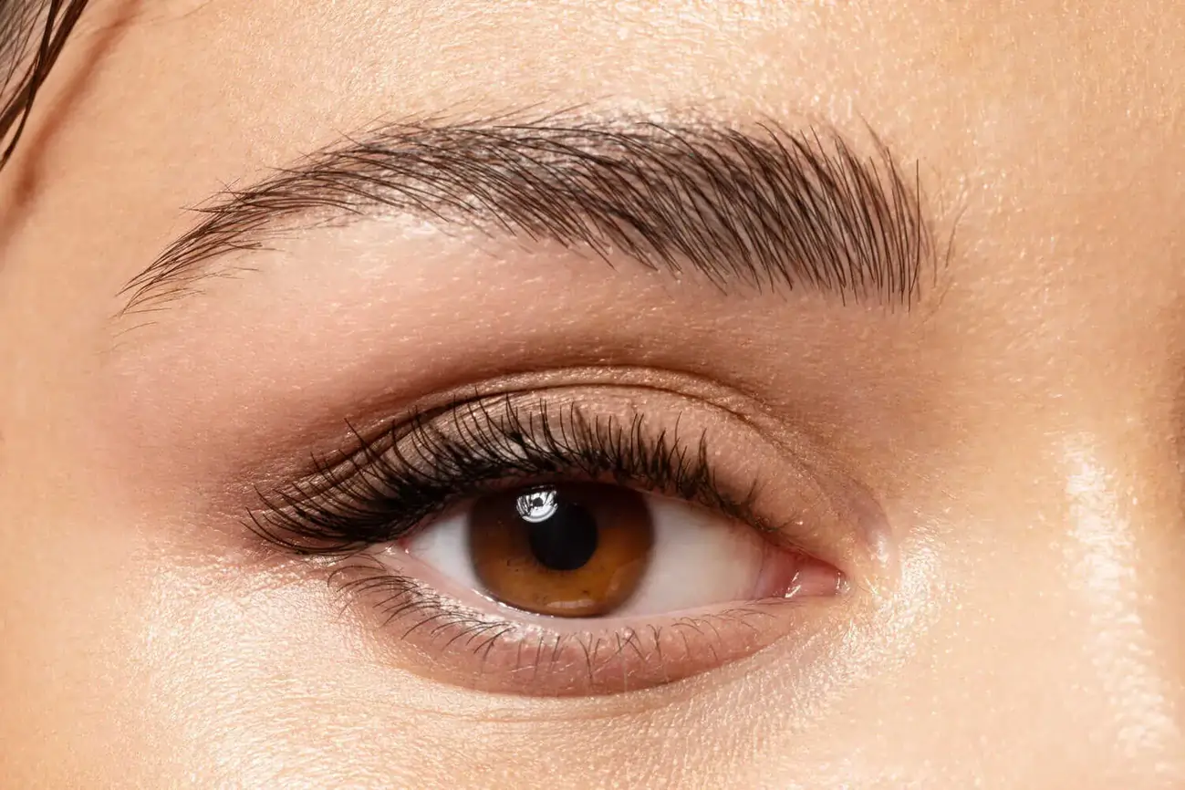 close-up of a person's Eyelash and Eyebrow Services