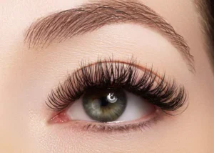 Eyelash and Eyebrow Services by Blissful Beauty Bar in Niceville, FL